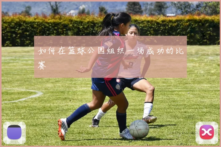 如何在篮球公园组织一场成功的比赛