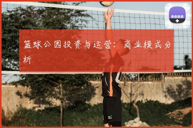 篮球公园投资与运营：商业模式分析