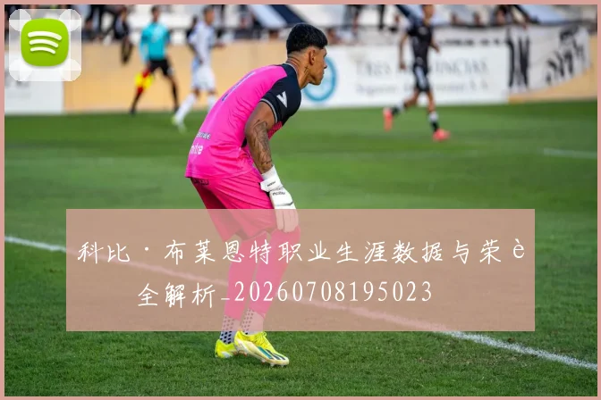 科比·布莱恩特职业生涯数据与荣誉全解析_20260708195023